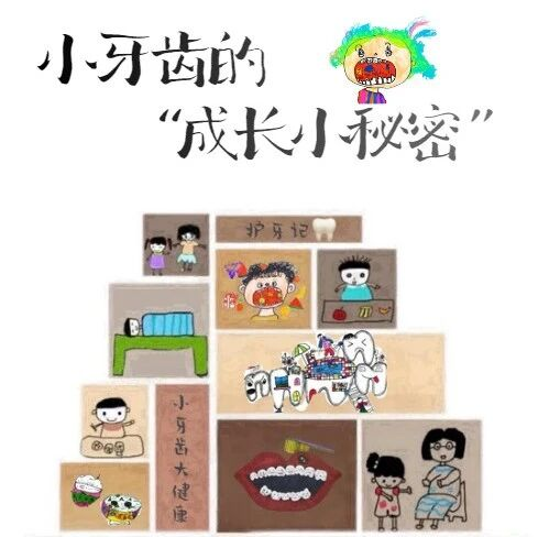 【课程故事]小牙齿的“成长小秘密”